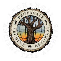 Archangel ancient tree archive
