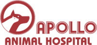 Apollo animal hospital