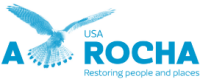 A rocha usa
