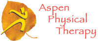 Aspen physical therapy