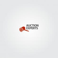 Auctioneer software