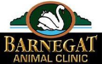 Barnegat animal clinic