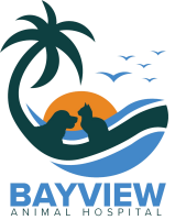 Bayview animal hospital