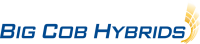 Big cob hybrids