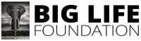 Big life foundation