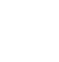 Birgo capital