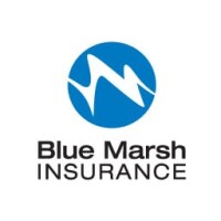 Blue marsh insurance
