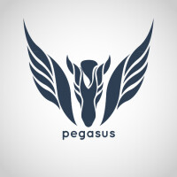 Pegasus Corporation