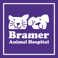 Bramer animal hospital