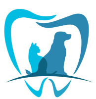 Carolinas animal hospital and dental clinic