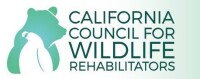California council for wildlife rehabilitators