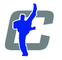 Champions martial arts