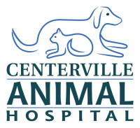 Channel islands veterinary hospital, inc.