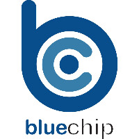 Blue chip accounting, llc