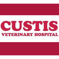 Custis veterinary hospital