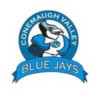 Conemaugh valley school district