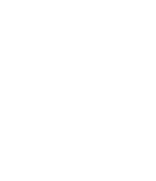 Dantata foods & alied products limited