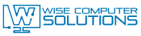 Wise computer consulting