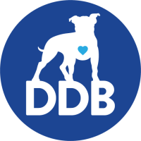 Dogs deserve better