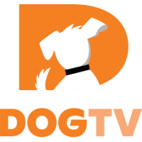 Dogtv