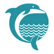 Dolphin offshore enterprises (i) ltd