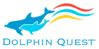 Dolphin quest, llc