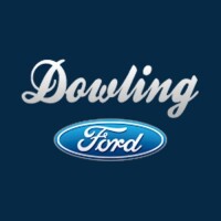 Dowling ford inc