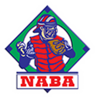 National adult baseball association