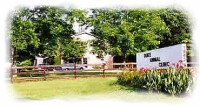 Duke animal clinic
