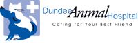 Dundee animal hospital