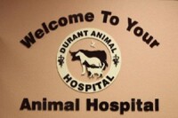 Durant animal hospital