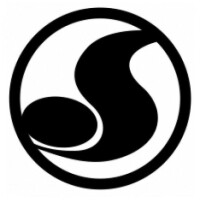 Dvs shoe company