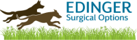 Edinger surgical options