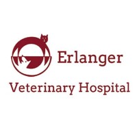 Erlanger veterinary hospital