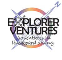 Explorer ventures