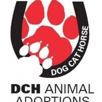 DCH Animal Adoptions