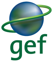 Global enviromental