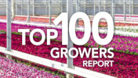 Grolink plant compny inc