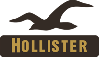 Hollister insurance brokerage