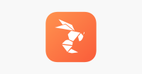 Hornet gay social networks