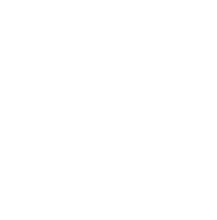 Iconic management solutions