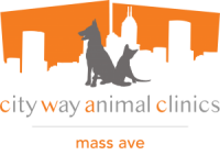 Mass ave animal clinic