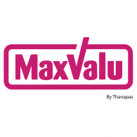 Max value insurance group
