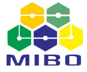 Mibo international corp