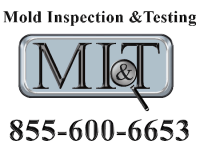 Mold inspection & testing mi&t