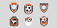 Franchise sports