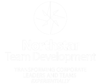 Northstar development group