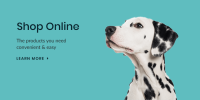 Northwest austin veterinary