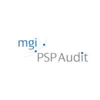 Omnic consulting group