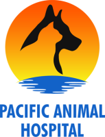 Pacific animal hospital